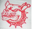 FCSM